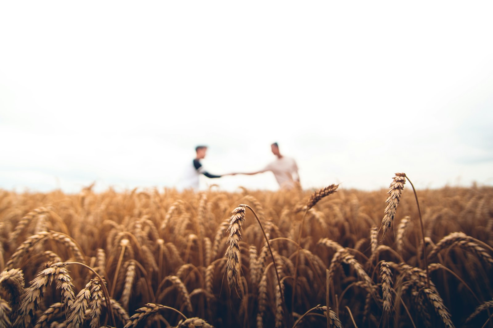 Agricoltura e agriturismi